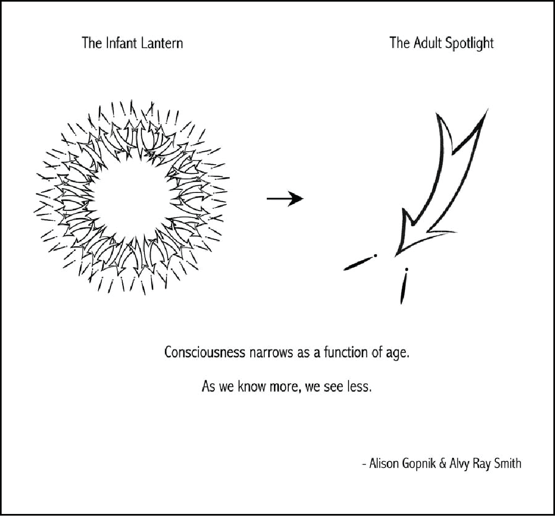 Lantern consciousness vs spotlight consciousness diagram