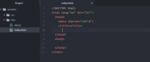 IDE for emerging readers demonstration